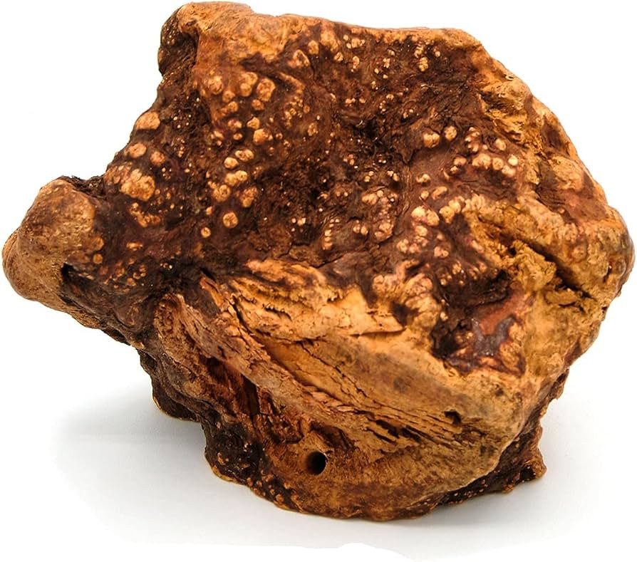 |100% Natural Premium Heather Wood |Dog Chew Toy |Long Lasting Treat |Odorless |Fully Digestible ... | Amazon (US)