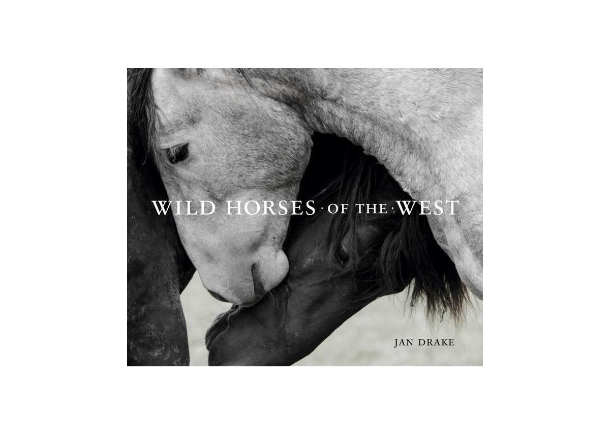 Wild Horses of the West by Jan Drake | Macy's