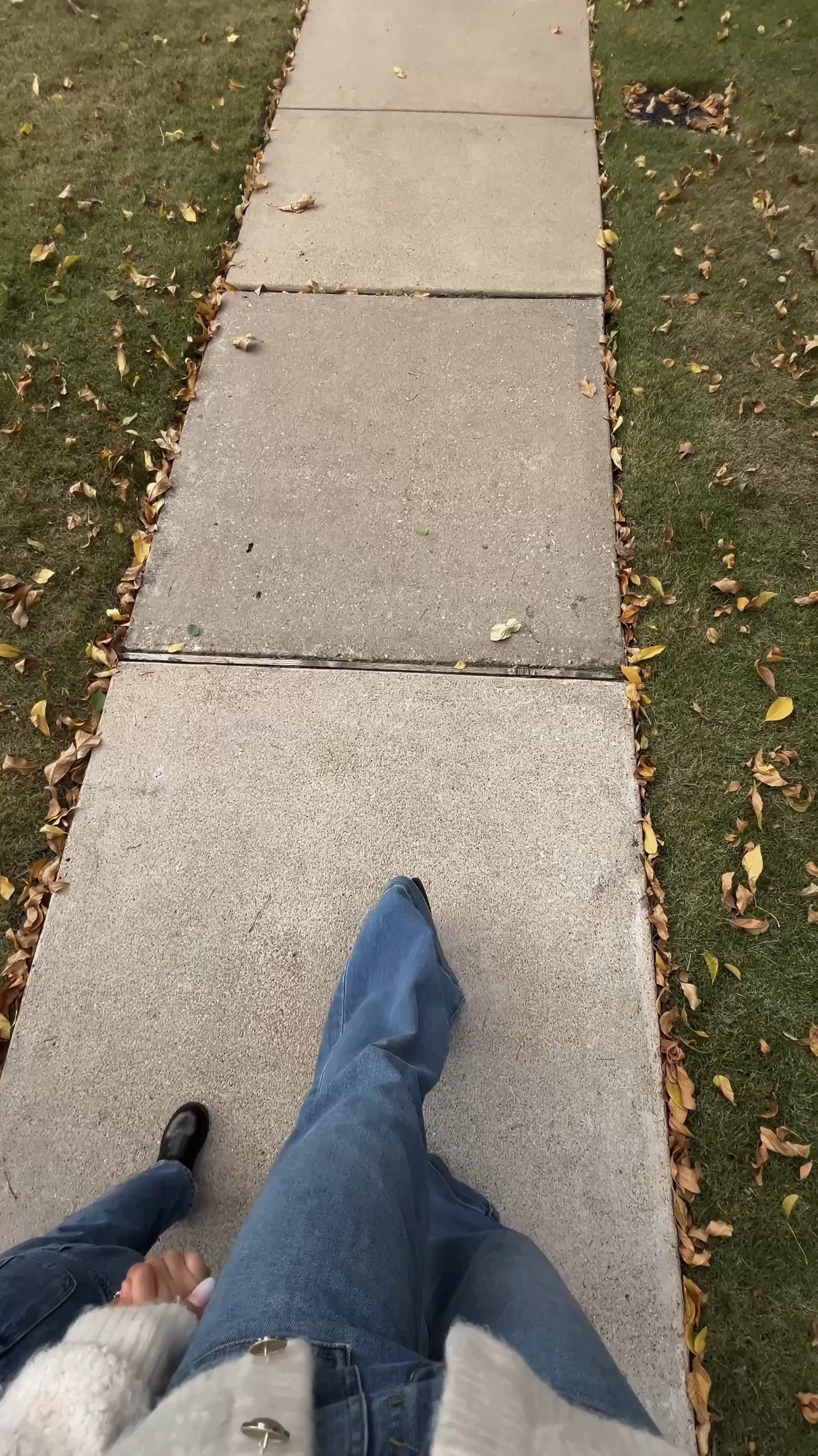 My go-to fall look: cozy, chic, and ready for anything 🍂

#LTKSaleAlert #LTKStyleTip