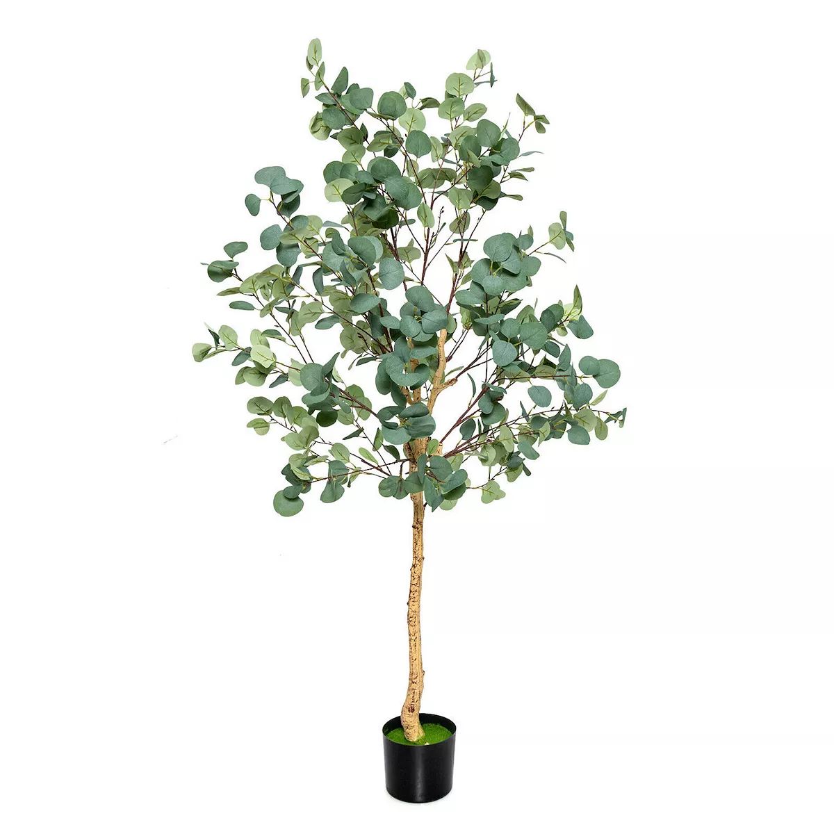 5.5 Feet Artificial Eucalyptus Tree with 517 Silver Dollar Leaves | Kohl's