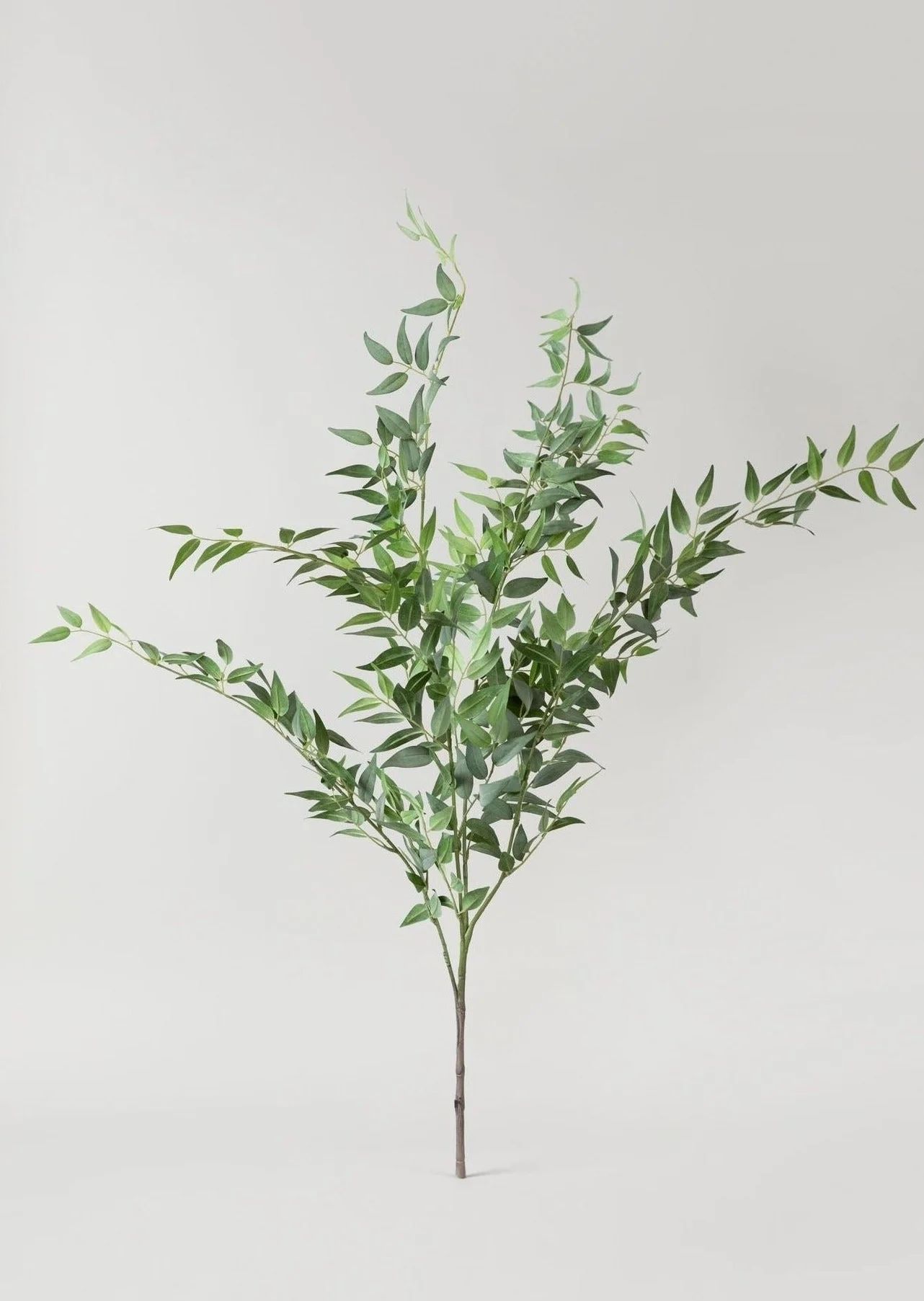 Large Italian Ruscus Spray | Best Artificial Leaves at Afloral.com | Afloral