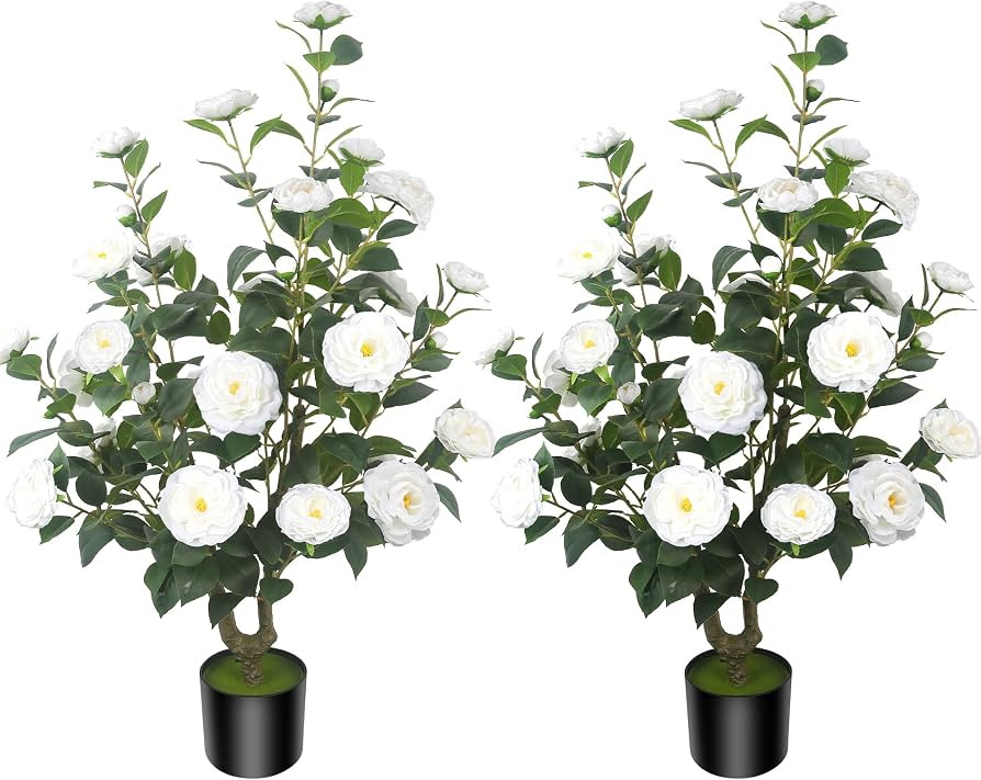 2Pack 39.37"/3.28FT Artificial Camellia Trees with 32 White Flowers in Cement Pots \u2013 Lifelik... | Amazon (US)