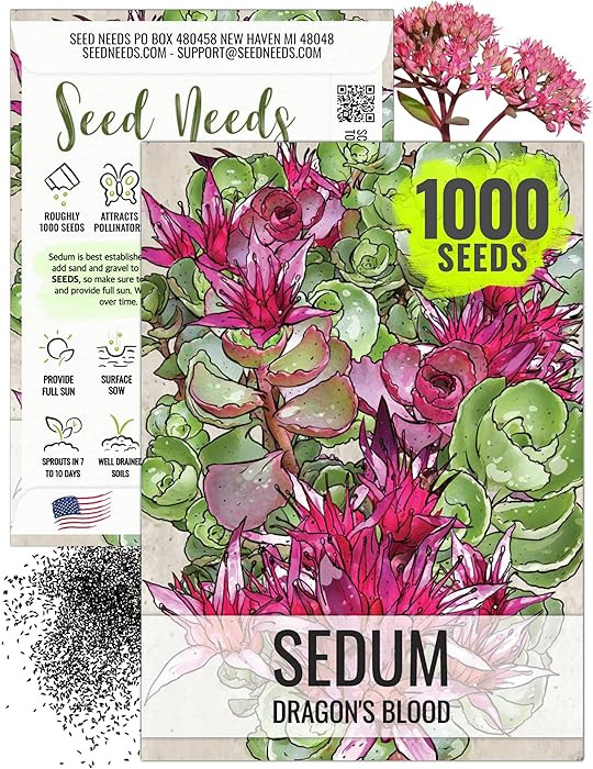 Seed Needs Sedum Seeds for Planting Dragon's Blood Groundcover Succulents - Heirloom & Open Polli... | Amazon (US)