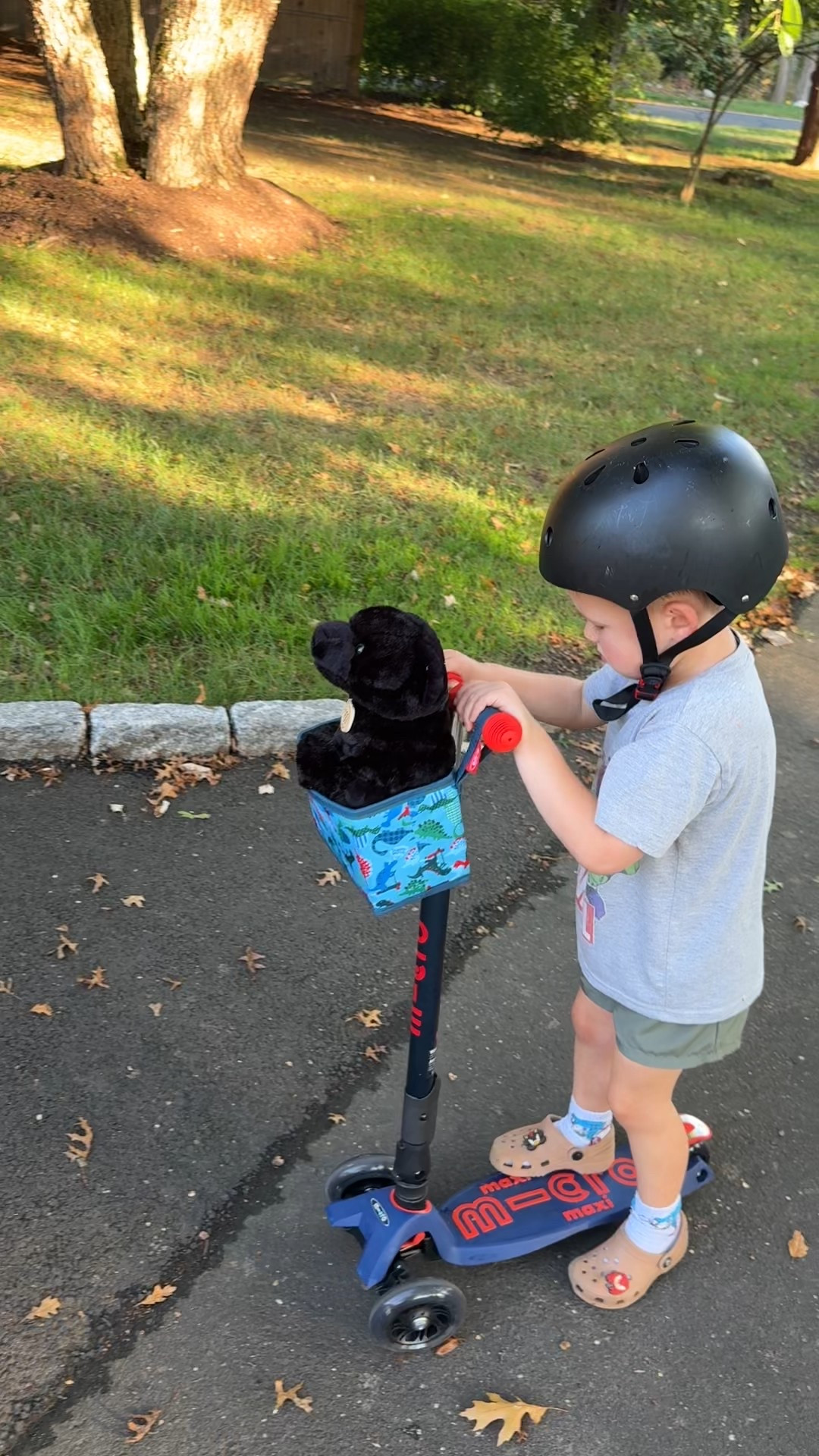 all 3 of the kids have these scooters and love! They fold up for easy transport 

#LTKGiftGuide #LTKKids