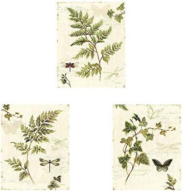 Amazon.com: Ivies and Ferns by Lisa Audit, 3 Piece Unframed Art Print Set, 8 X 10 Inches Each, Fl... | Amazon (US)