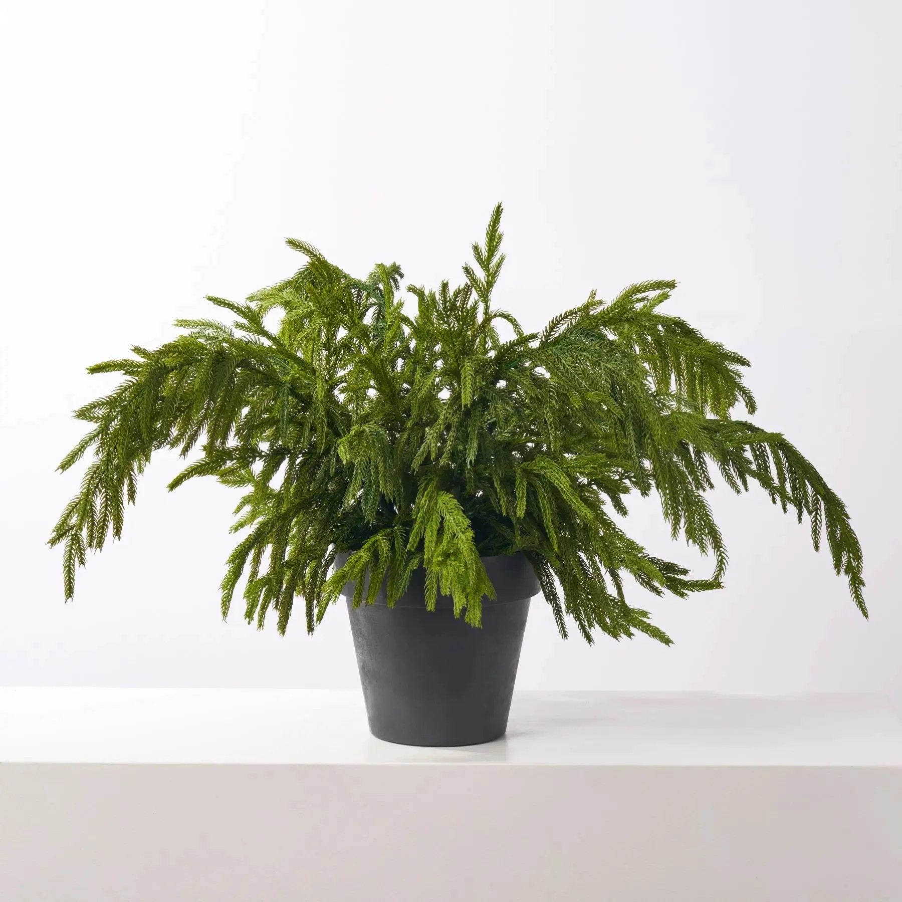 Small Real Touch Norfolk Pine Planter Outdoor Winter Urn Filler Arrangement | Wayfair North America