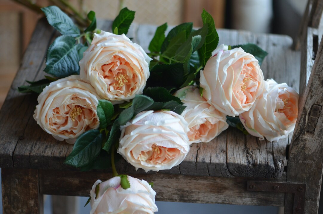 24" Faux Champagne Austin Roses, Peach Real Touch Artificial Roses, Fake Cabbage Roses, DIY Flora... | Etsy (US)