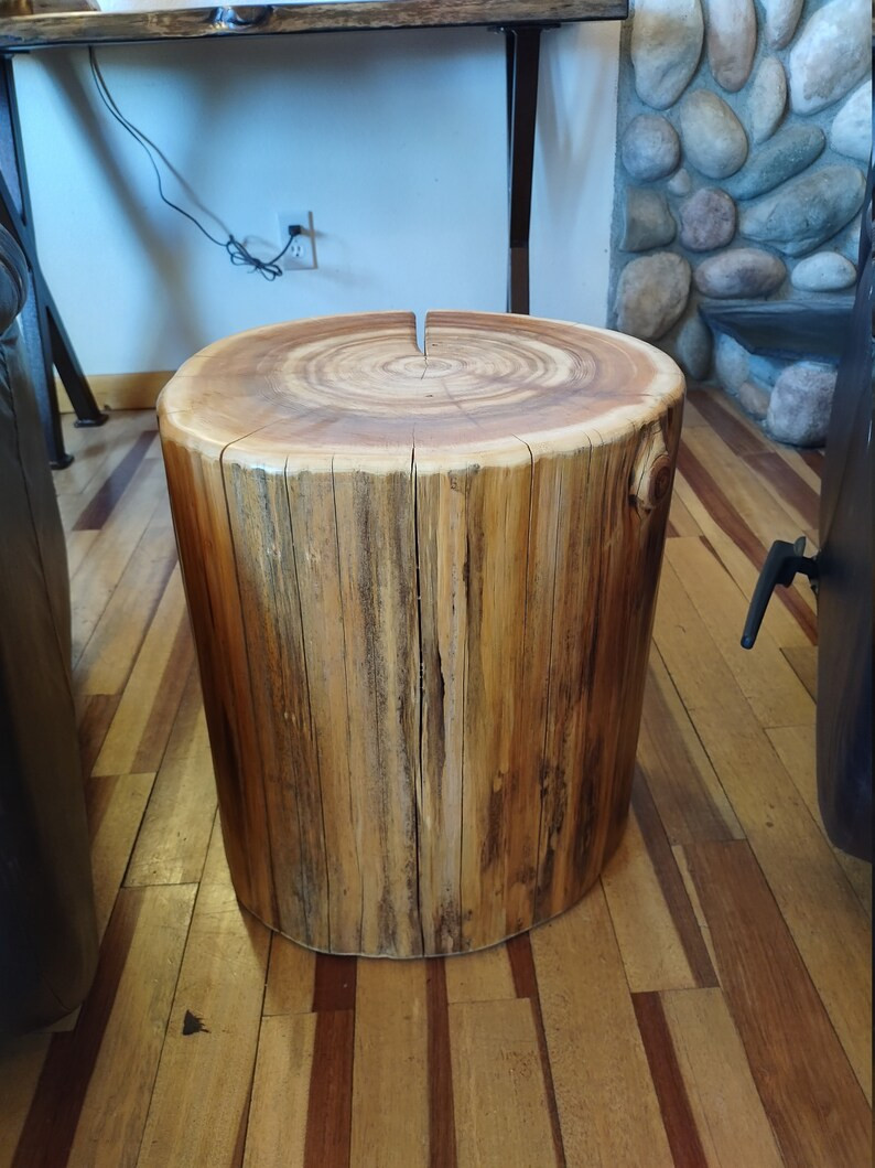 Tall 22" Cedar Stump/Side Table | Etsy (US)