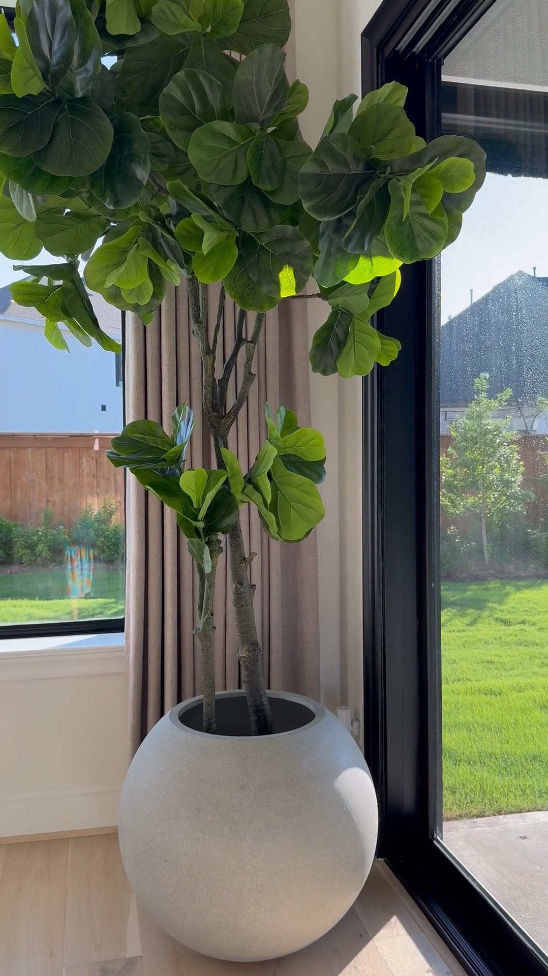 Hey friend! I’ve linked my fiddle tree and planter as well as simple planters! 🤍🫶🏽🤍

#LTKVideo #LTKStyleTip #LTKHome