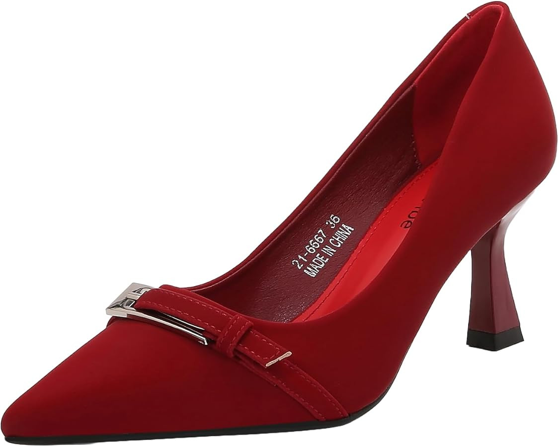 VeroVibe Women's Pointed Toe Mid Heel, Dress Pump with Metal Buckle Accent, All Day Comfort | Amazon (US)