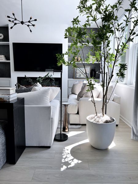 Modern Neutral Family Room Inspo

Indoor faux tree, cream sofa, living room, family room

#LTKhome