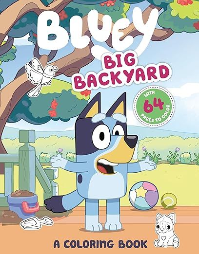 Bluey: Big Backyard: A Coloring Book | Amazon (US)