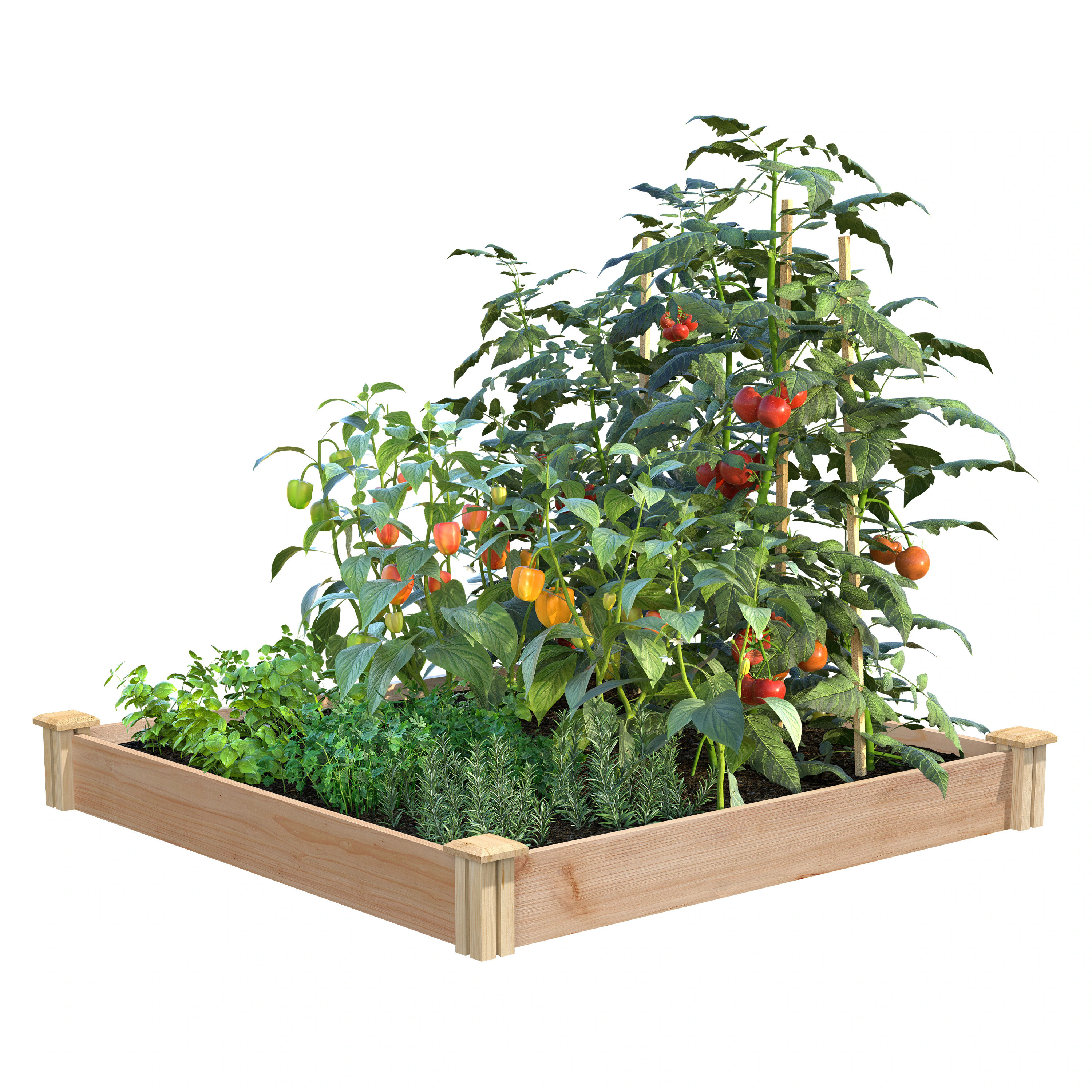 Greenes Fence 5.6-cu ft 42-in W x 42-in L x 5.5-in H Natural Cedar Cedar Raised Garden Bed in White | RC6C42 | Lowe's