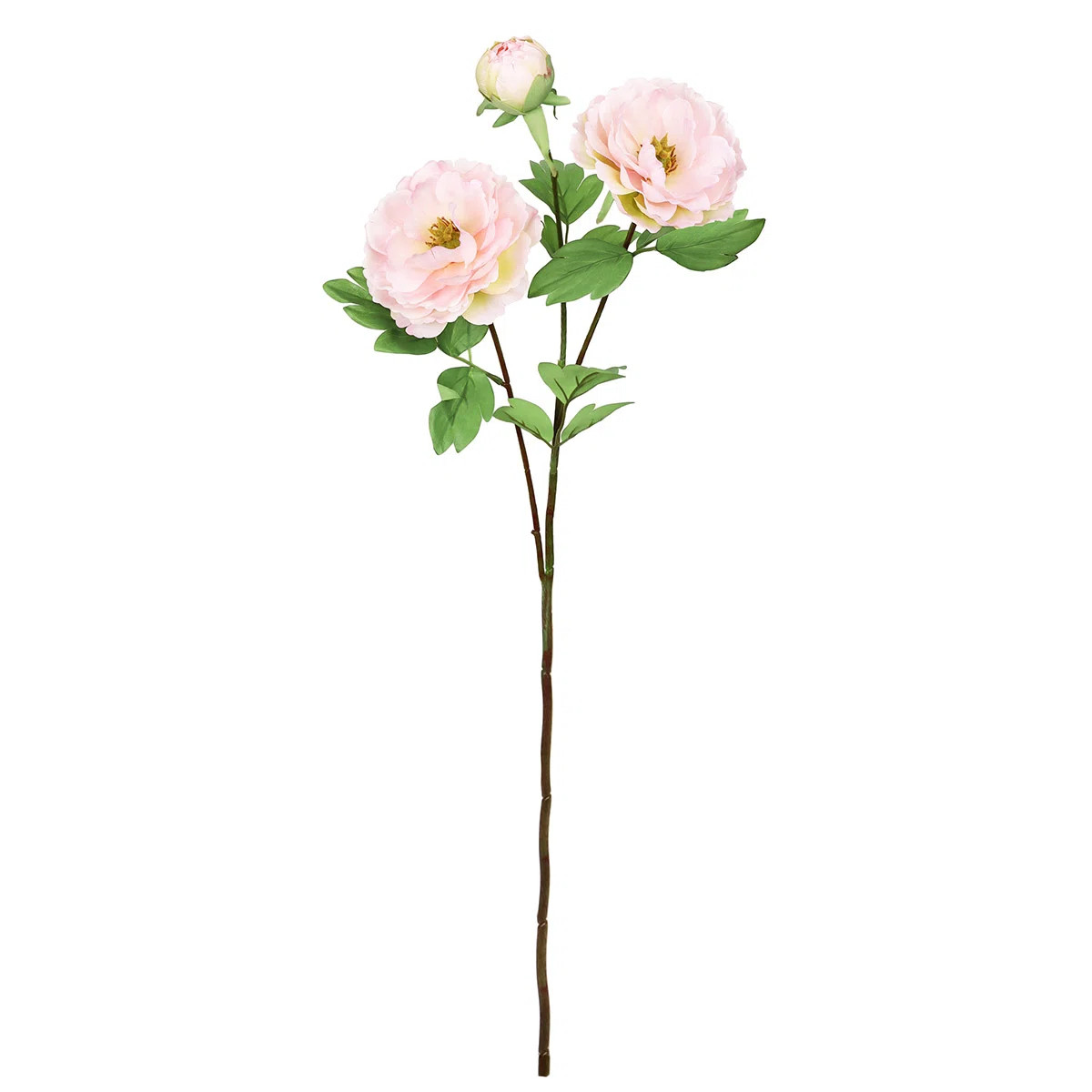 Peony Arrangement (Set of 4) | Wayfair North America