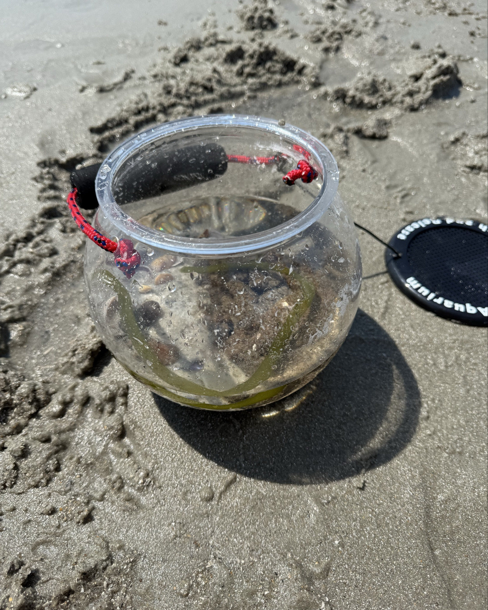 All you need for the beach! 
This amazing catch and release beach bucket is perfect for the beach. 

Light weight with the most comfortable handle. All you need to do is add fresh seawater every hour or so if you do have a live animal and then when you’re ready to head in you, just let it back in the ocean. 



#LTKTravel #LTKSeasonal #LTKSaleAlert