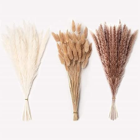60 Pcs | 15 Pcs White Pampas & 15 Pcs Brown Pampas & 30 Pcs Reed Grass/Natural Dried Pampas Grass fo | Amazon (US)
