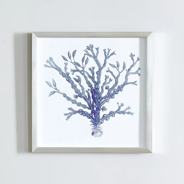 'Indigo Coral I' Shadow Box | Wayfair North America