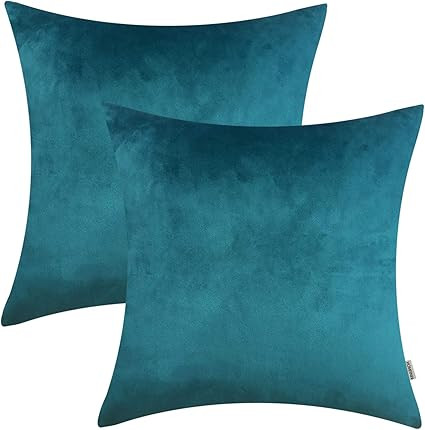 HOMFINER 20x20 inch Velvet Throw Pillow Covers for Couch, Pack of 2, Soft Decorative Bed, Sofa or... | Amazon (US)