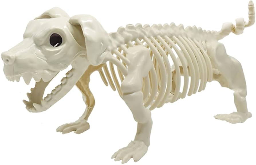DINESIL Halloween Decoration Skeleton Dog, Skeleton Animal Plastic Puppy with Posable Joints for ... | Amazon (US)