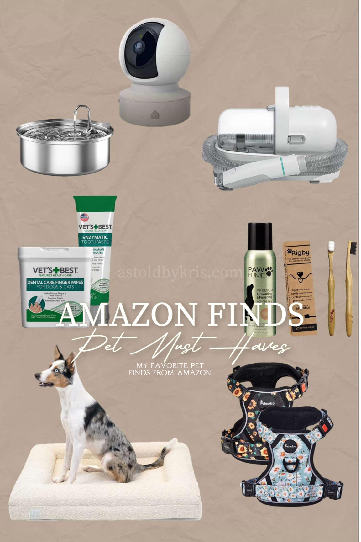 favorite pet finds from amazon ✨

#LTKhome #LTKstyletip #LTKfamily