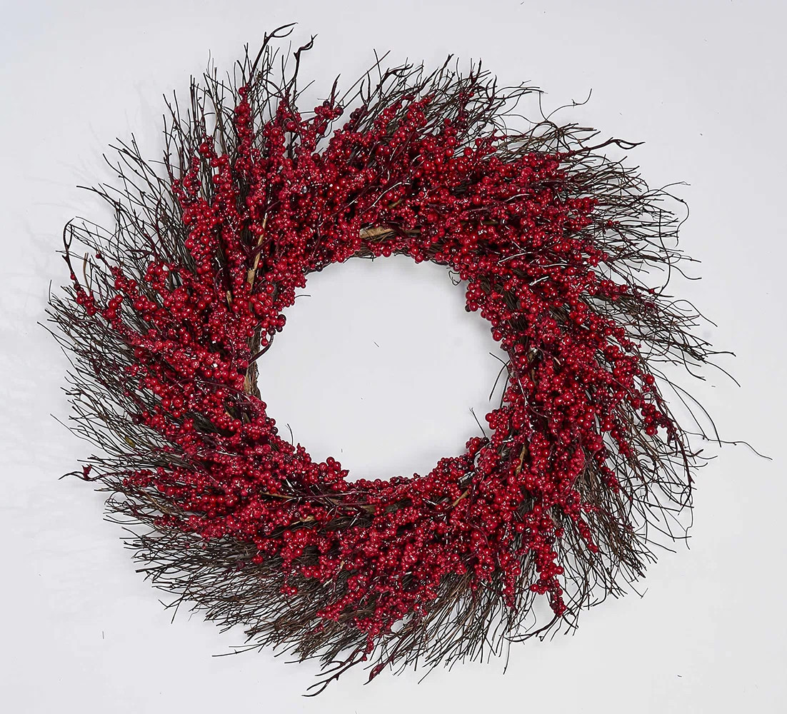 22" Berry Wreath on Twig Base | Joss & Main