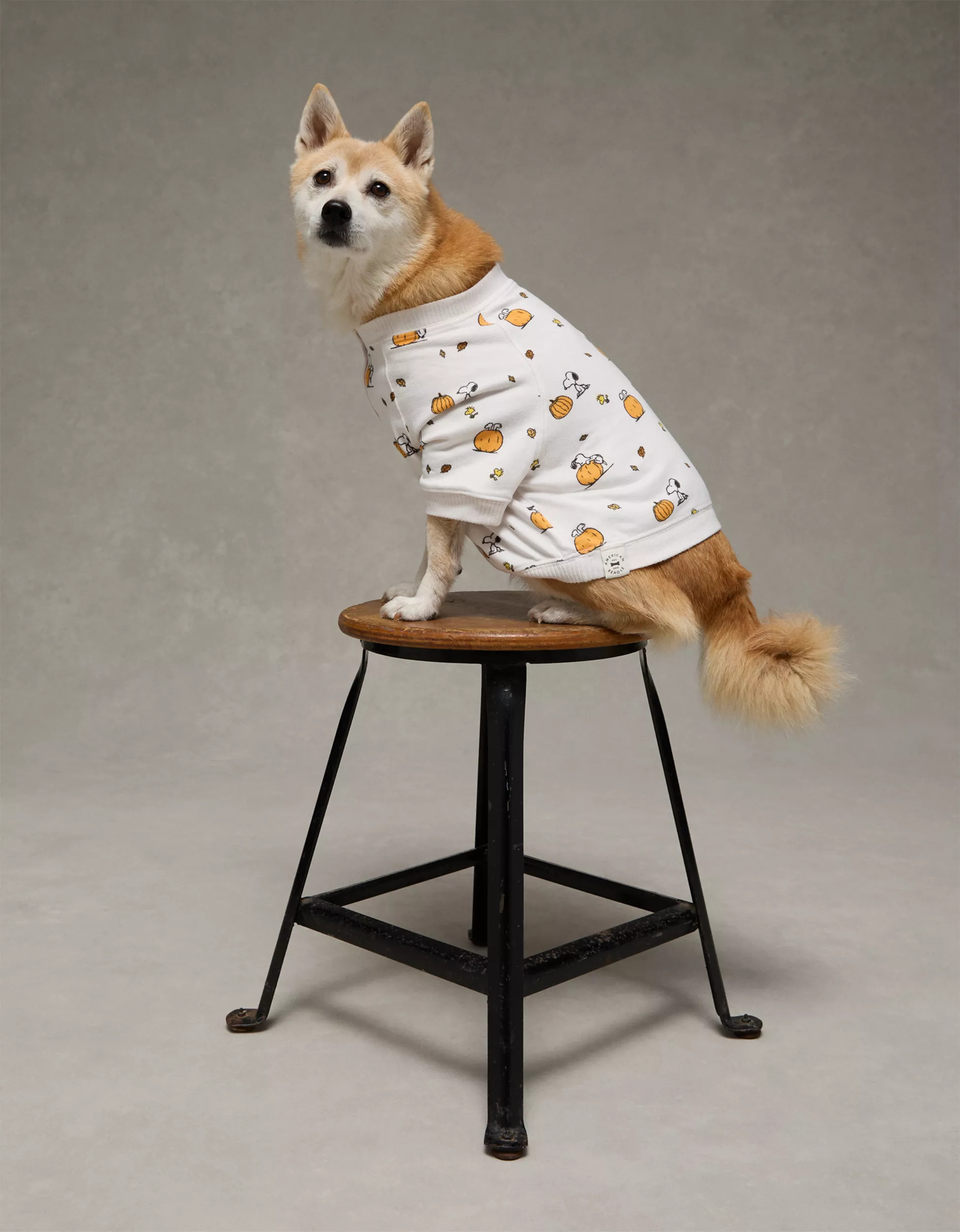 ABO Snoopy Pumpkin Plush Dog PJ Shirt | American Eagle Outfitters (US & CA)