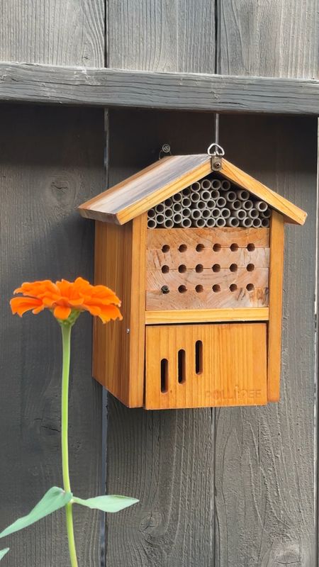 This beehouse is one of my favorite things in my garden and it looks like it finally has a resident!

#LTKhome #LTKGiftGuide #LTKSeasonal