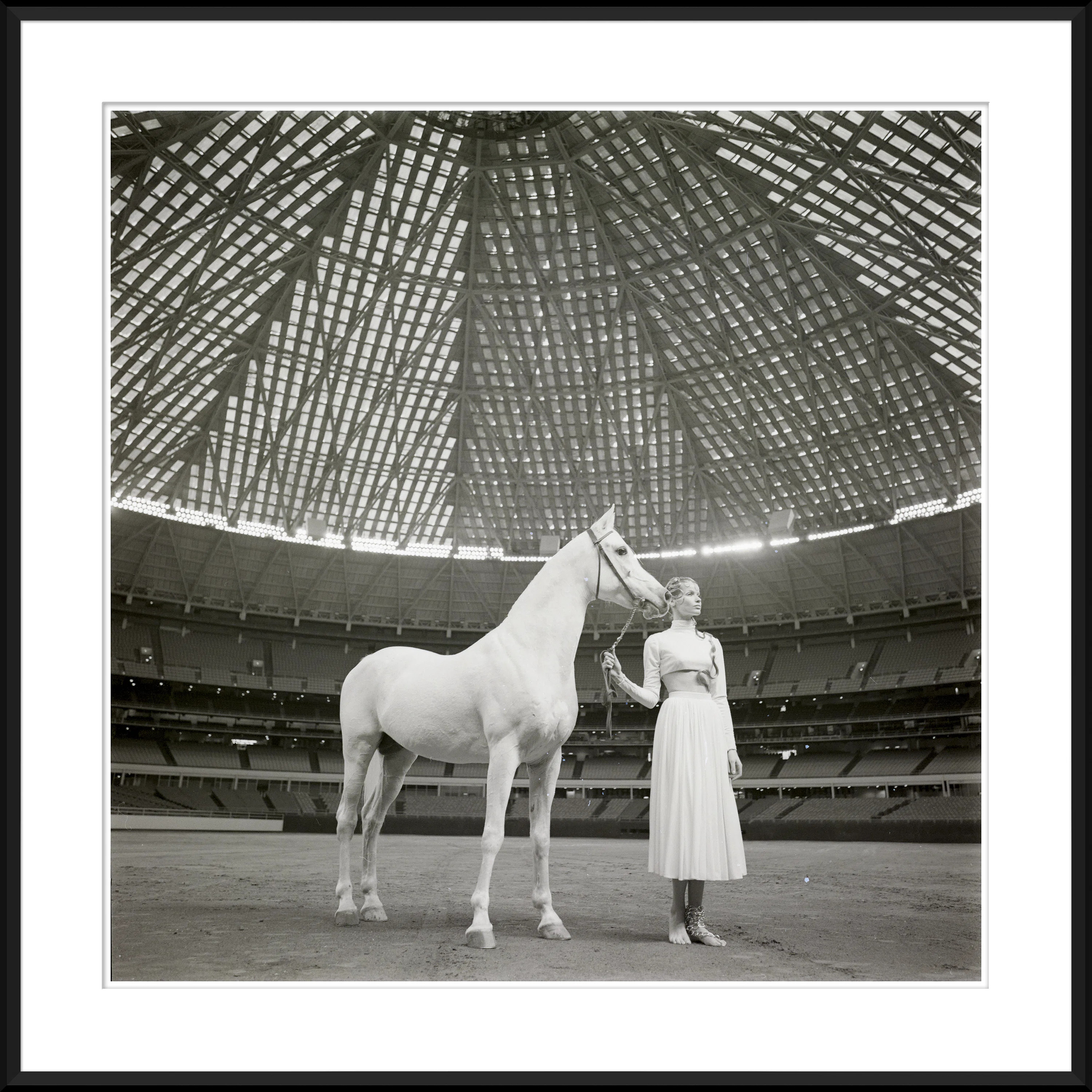 Veruschka With Morafic Arabian Horse Giclee Print by Sante Forlano | Perigold