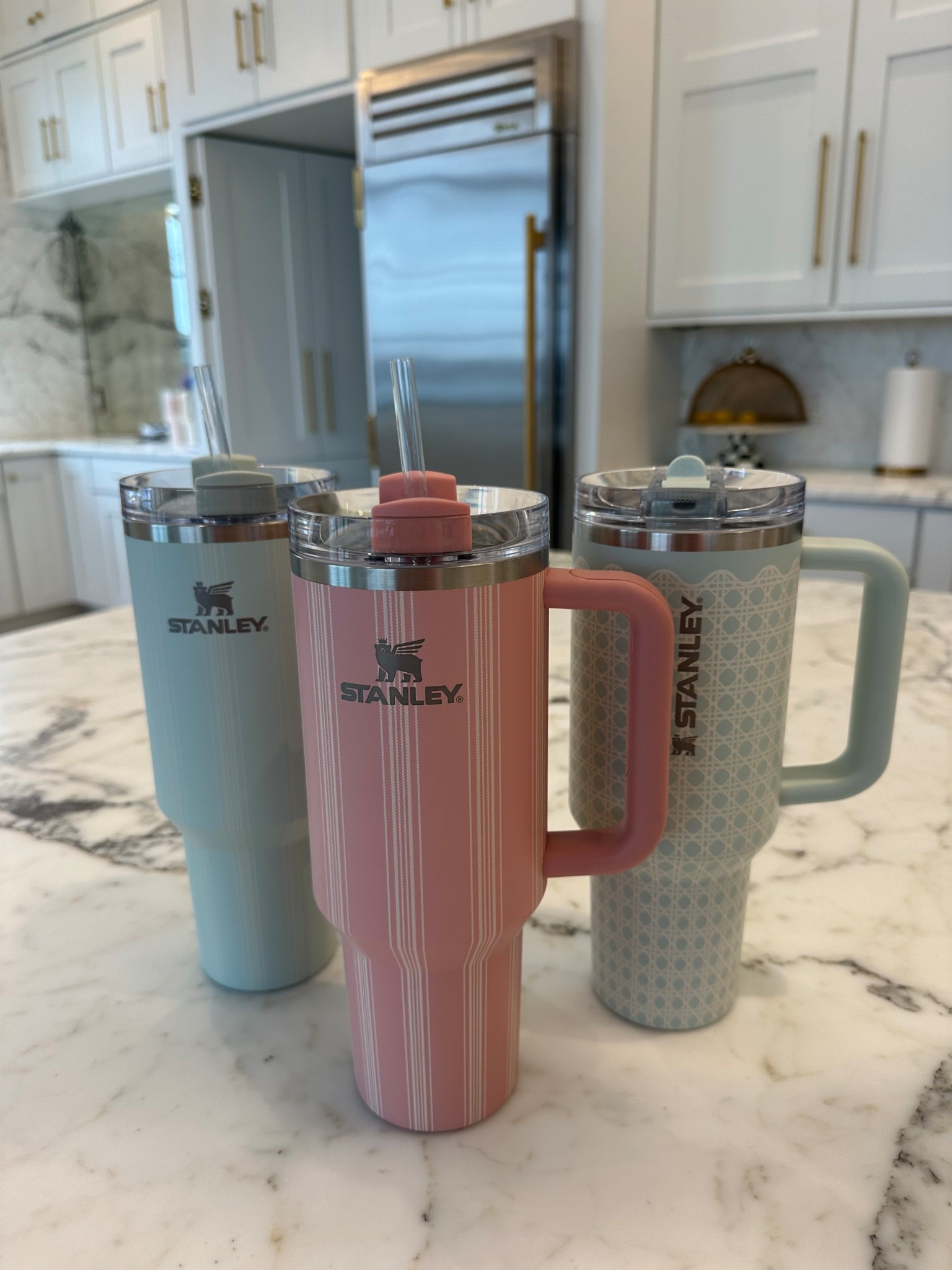 All new from the Spring Picnic collection at Stanley! These are going to match my workout sets perfectly 👀💘✨ @stanleybrand #stanleypartner #ad

#LTKgrwm #LTKootd