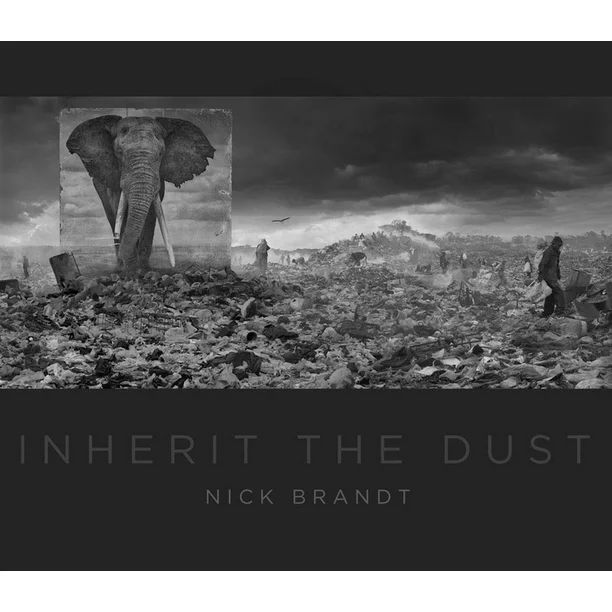 Nick Brandt: Inherit the Dust (Hardcover) - Walmart.com | Walmart (US)