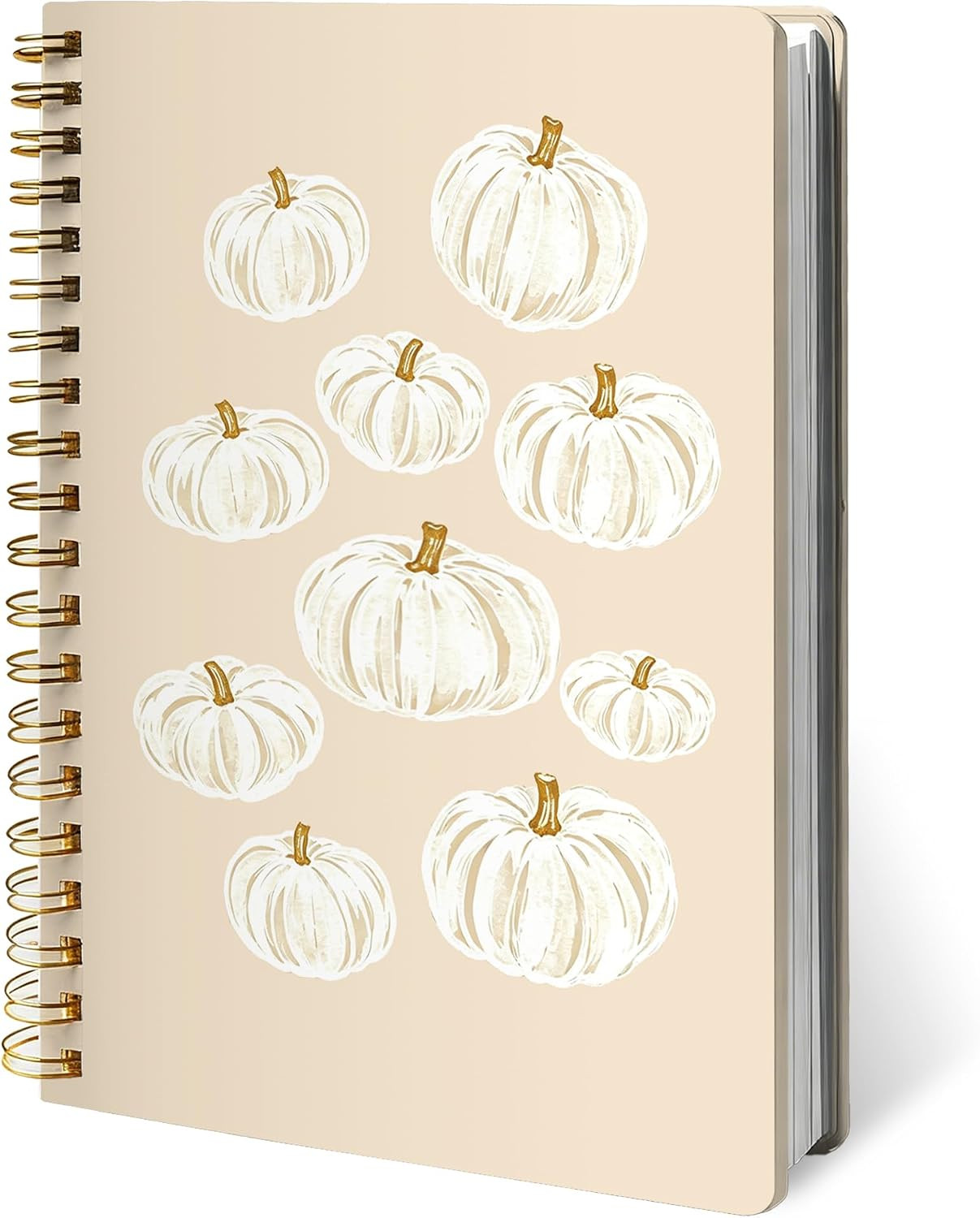 Boho Fall Pumpkin Gifts Notebook Journal 5.5x8.3 Inch | Amazon (US)
