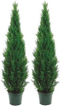 Silk Tree Warehouse Two 5 Foot Outdoor Artificial Cedar Topiary Trees Potted Plants Two Peace Con... | Amazon (US)