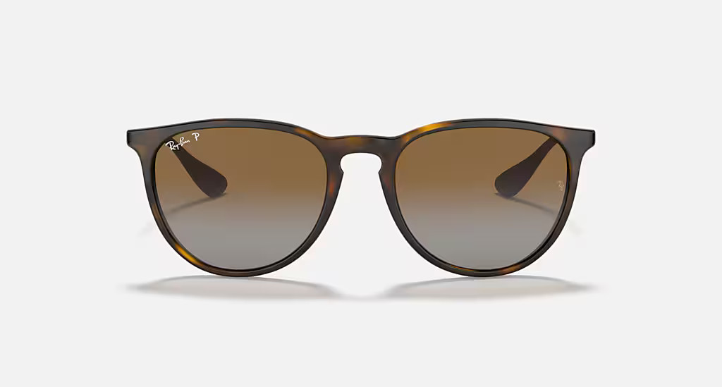 Check out the Erika Classic at ray-ban.com | Ray-Ban (US)