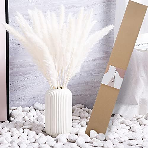 Amazon.com: 17.72" Dried White Pampas Grass 30 Pcs(Packed Alone), Natural Home Decor & Ideal for ... | Amazon (US)