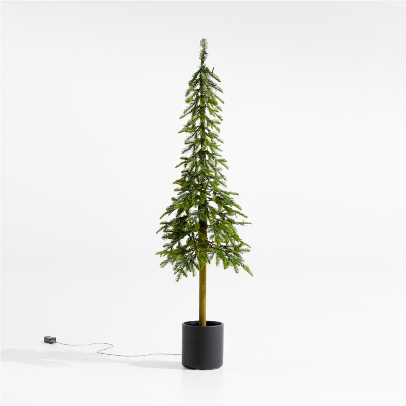 Faux Potted Slim Alpine Pre-Lit LED Tree with White Lights 5' + Reviews | Crate & Barrel | Crate & Barrel