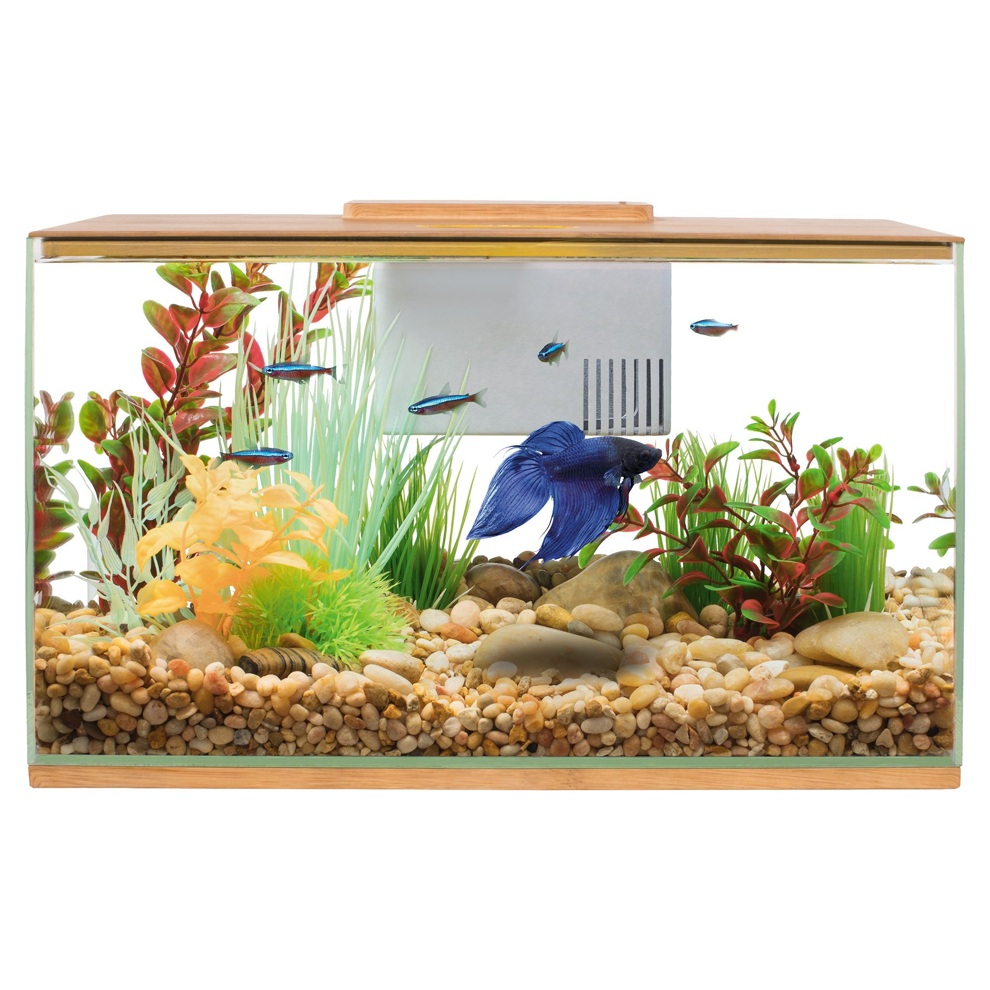 Top Fin® Betta Bamboo Aquarium - 3 Gallon | PetSmart