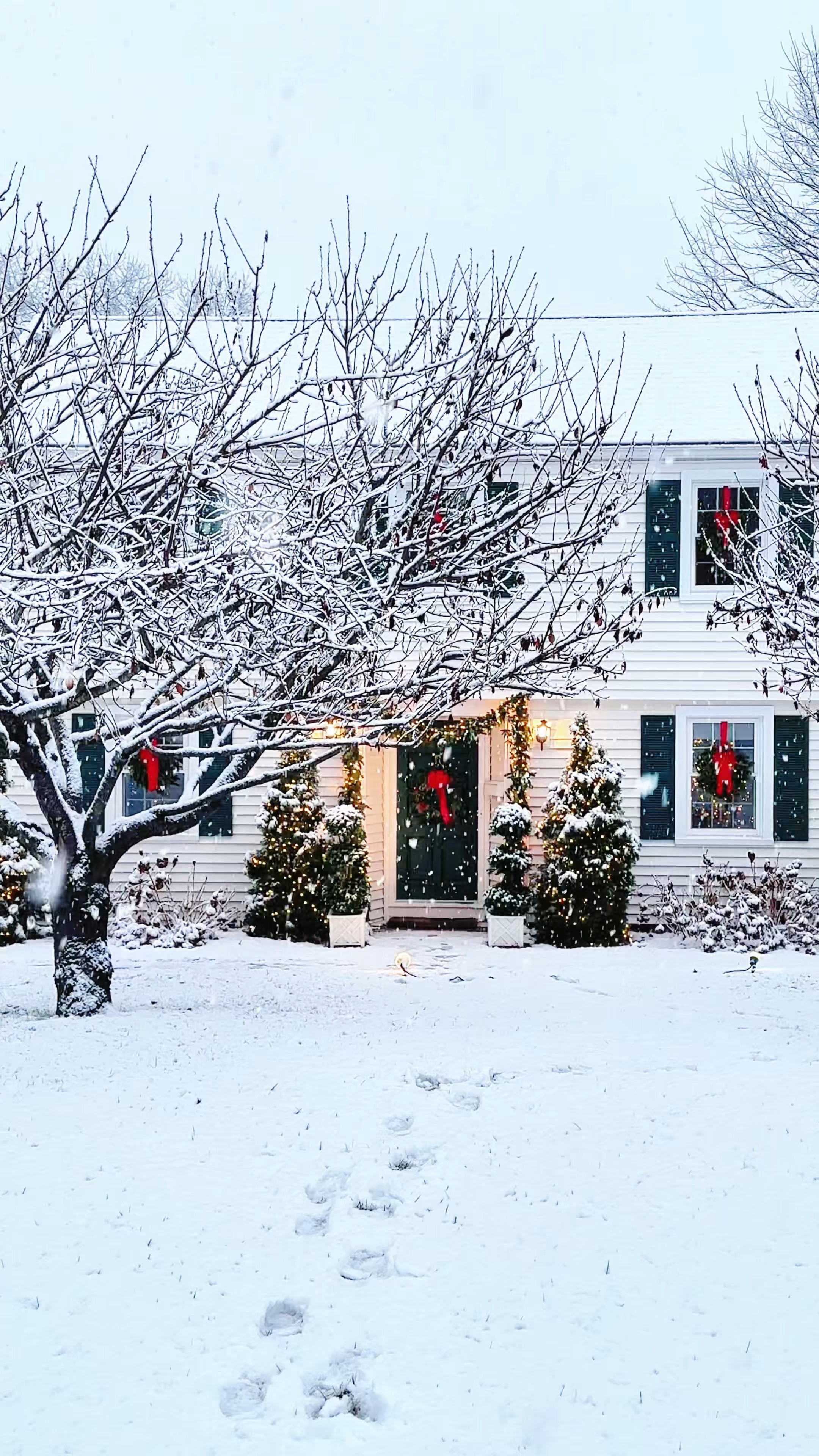 Favorite Christmas decor from our holiday home tour 

#LTKWatchNow #LTKHome #LTKHoliday