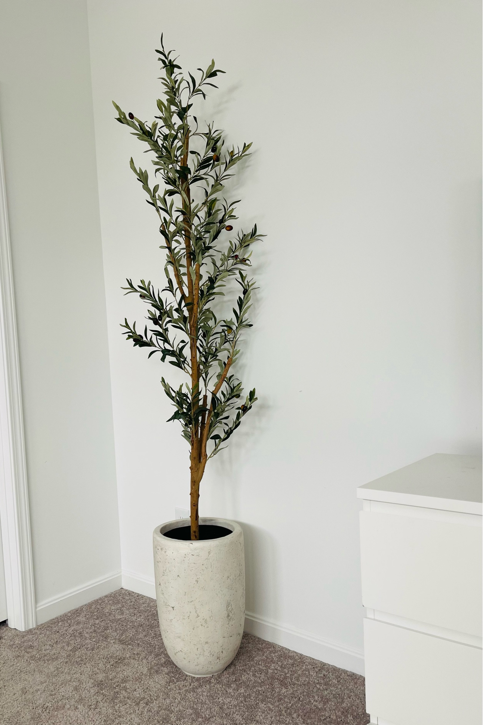 My favorite faux olive tree and faux concrete vase! 

#LTKstyletip #LTKhome #LTKSale