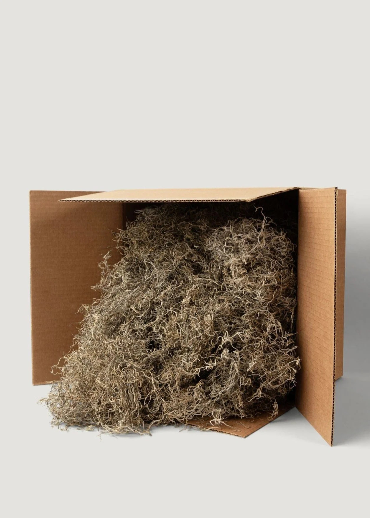 Natural Dried Spanish Moss | Afloral
