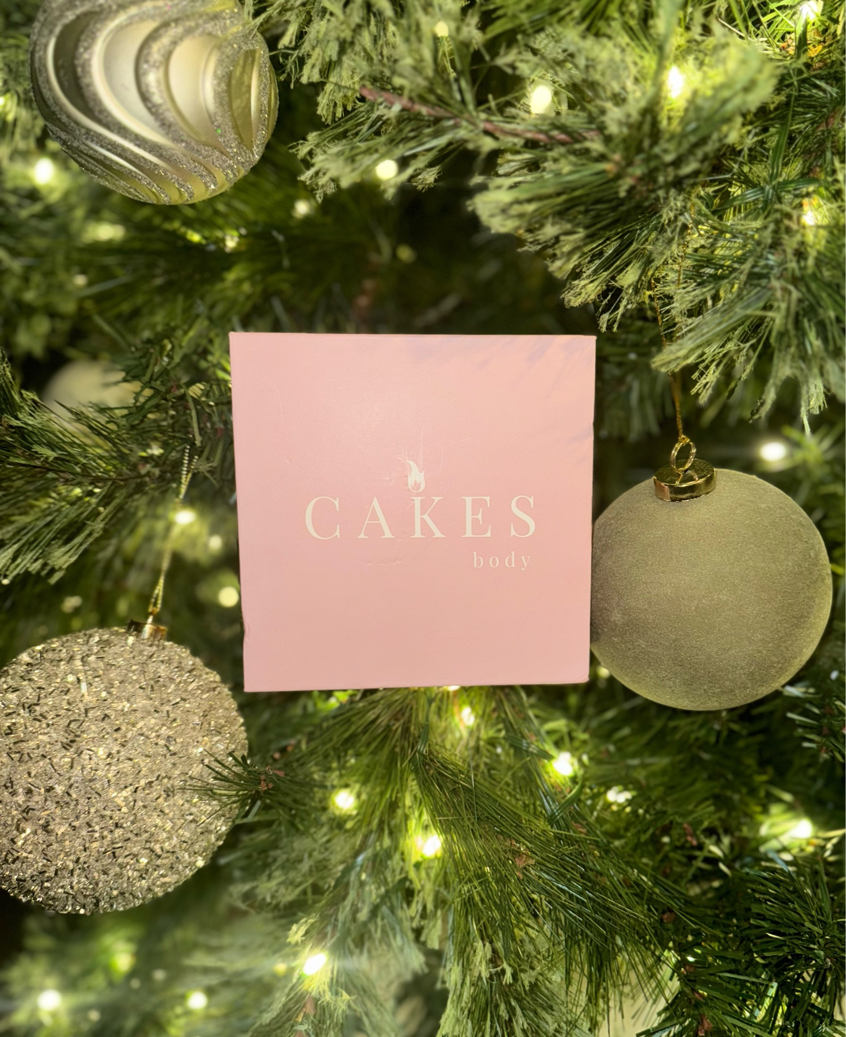 The gift every girl needs! These are perfect for all the tops and dresses you can’t wear a bra with!💗 #ad #cakescybersale #cakesholiday @cakesbody 

#LTKStyleTip #LTKHoliday #LTKGiftGuide