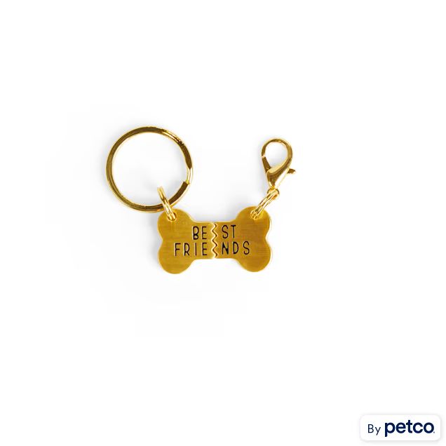 More and Merrier BFF Charm/Keychain Set for Dogs | Petco