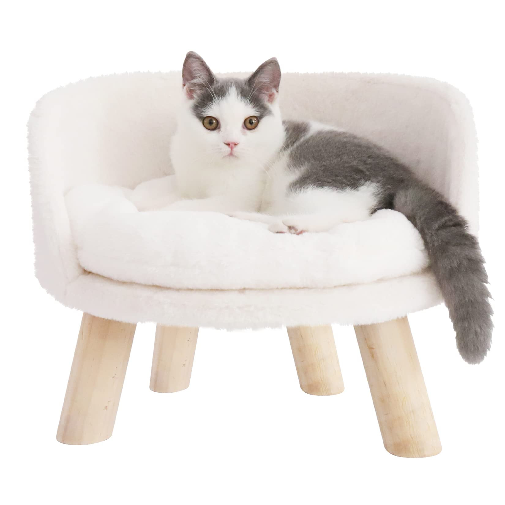 BingoPaw Elevated Pet Bed,Nordic Pet Stool Bed with Cozy Pad Waterproof,Pet Chair with Sturdy Woo... | Amazon (US)