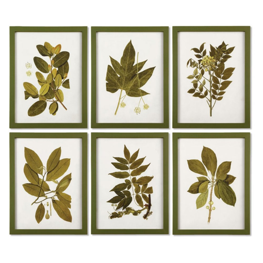 Napa Home and Garden Framed Spring Leaves Print Wall Panel - Set of 6 | Hayneedle