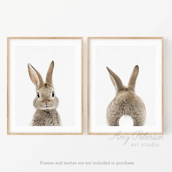 Bunny Front & Back Set of 2 Photo Prints Bunny Art Woodland | Etsy | Etsy (US)