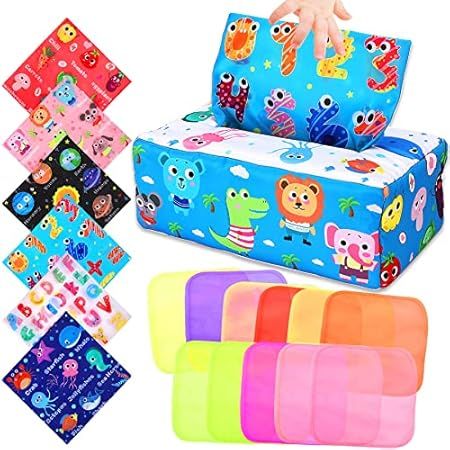 Aiduy Baby Toys 6 to 12 Months - Montessori Toys for Babies 6-12 Months - Infant Newborn Toddlers Se | Amazon (US)