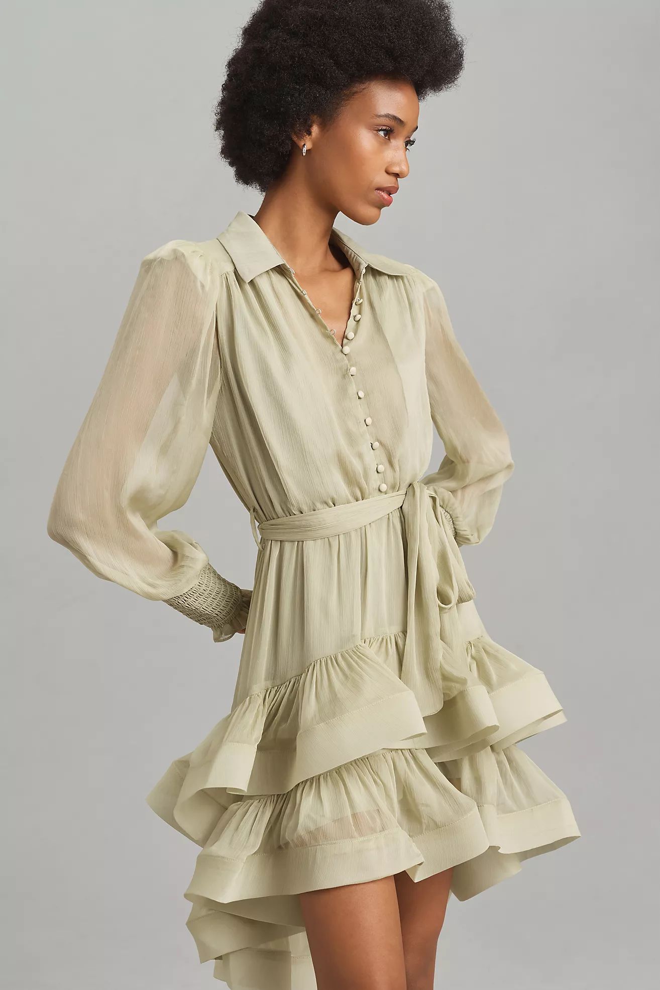 Elliatt Poppy Long-Sleeve Ruffle Mini Dress | Anthropologie (US)