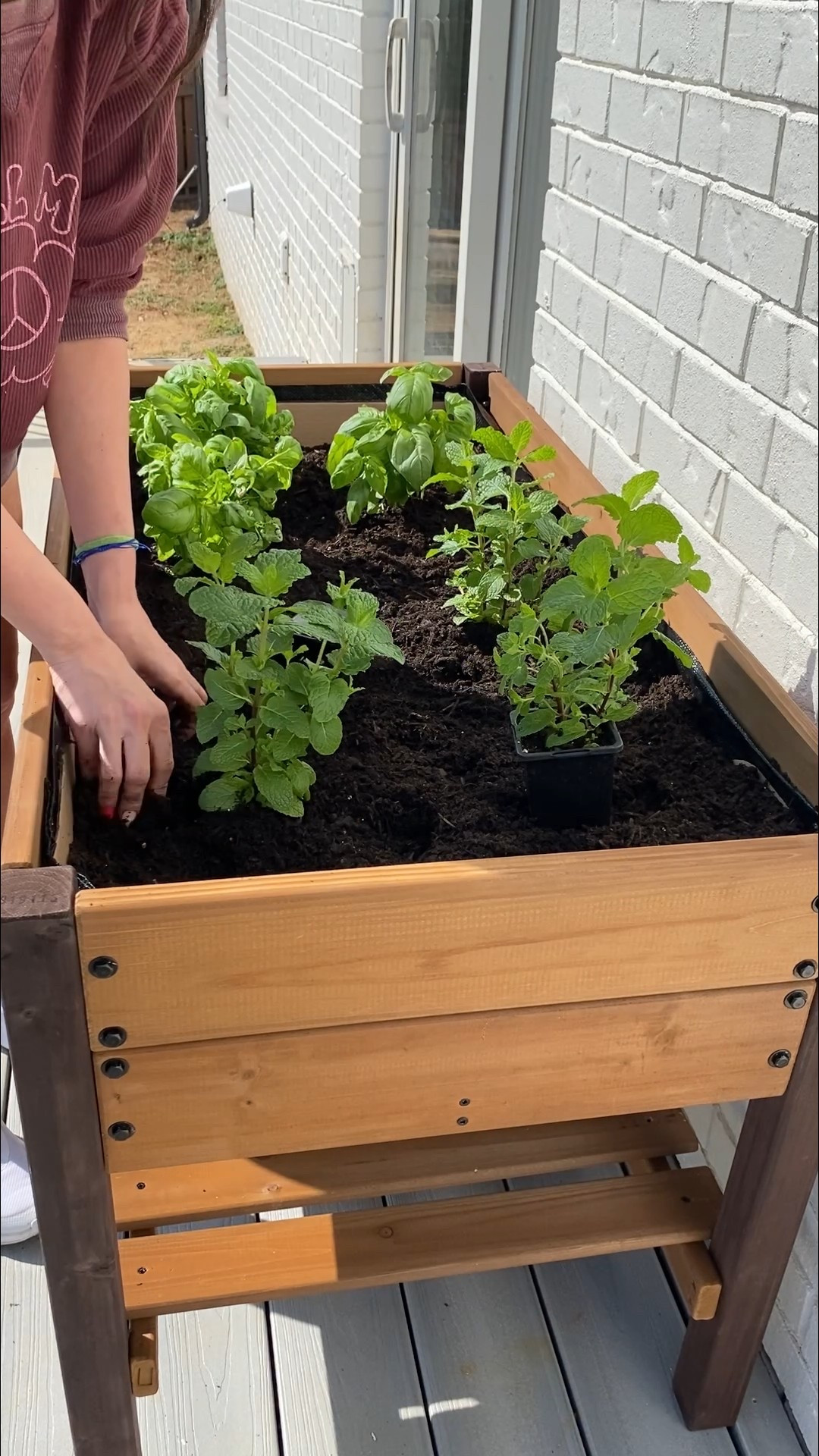 Manifesting spring with a few new blooms 🌸🍃 This raised garden is the perfect solution for our at-home herbs and super convenient to have on our deck, right outside of the kitchen. They’re on major sale, I’ve rounded up a few styles and sizes here! 

#LTKHome #LTKSaleAlert #LTKdayinmylife