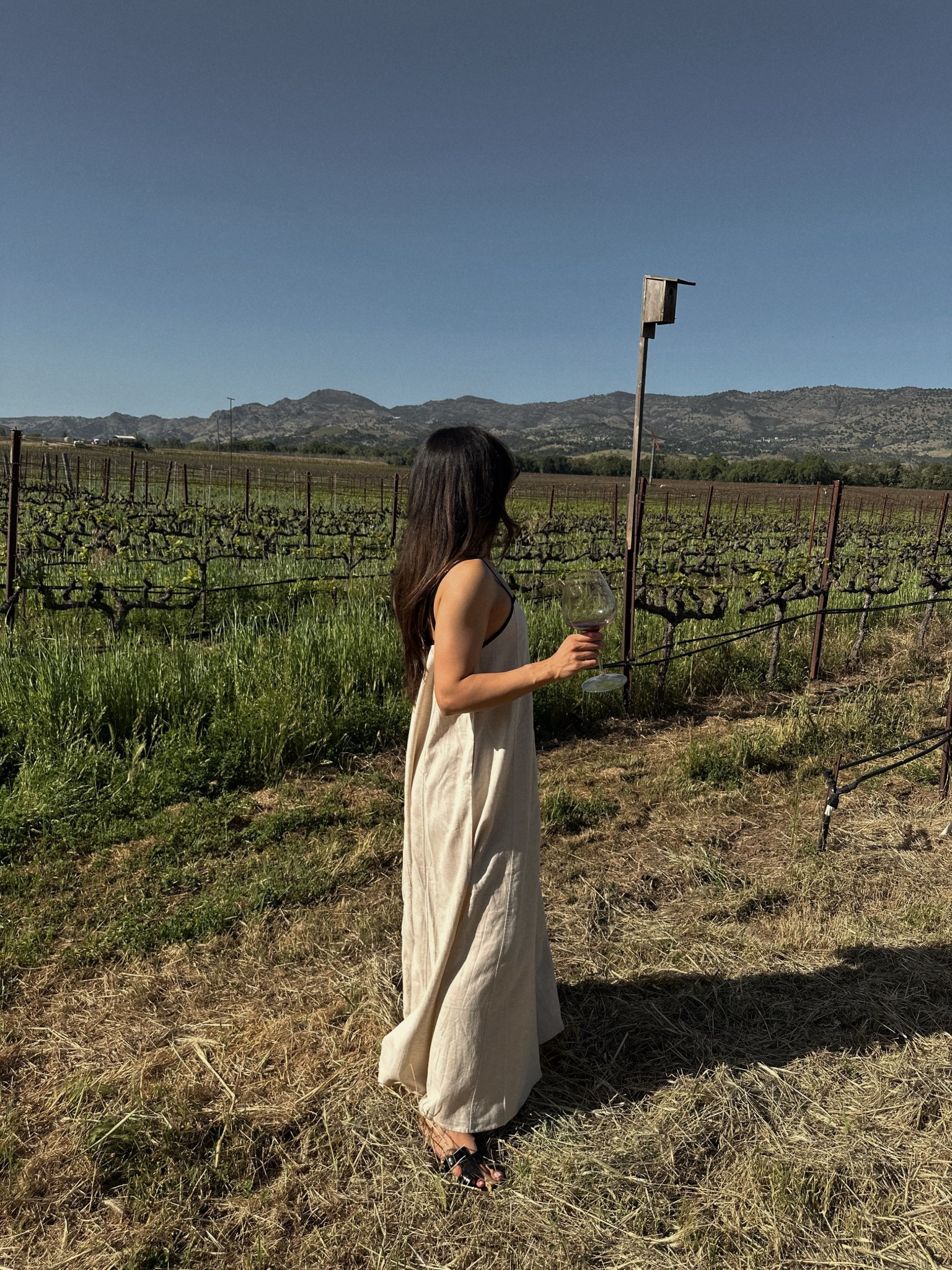 Wearing an XS in the linen dress 🤎 

#LTKFindsUnder50 #LTKStyleTip #LTKFindsUnder100