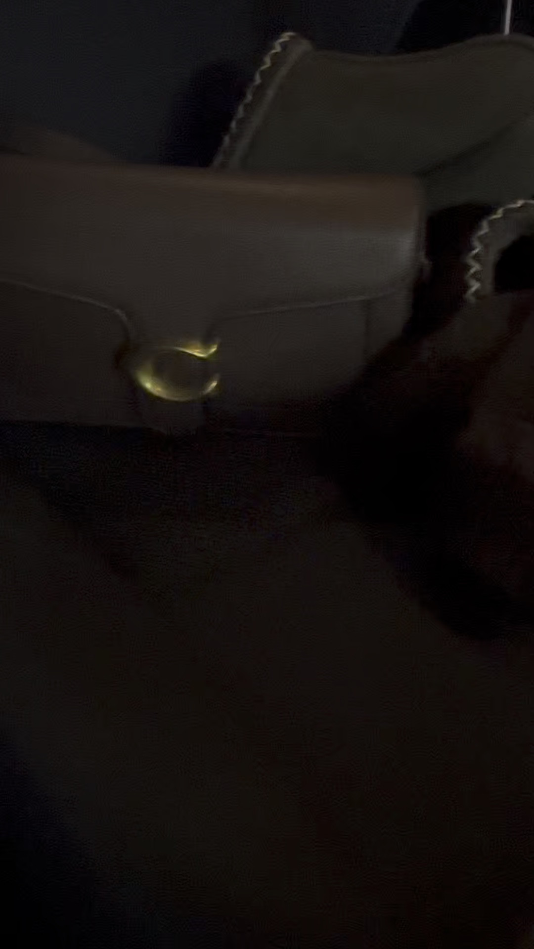 Another moment for all the brown 👜🤎

#LTKCyberWeek #LTKGiftGuide #LTKU