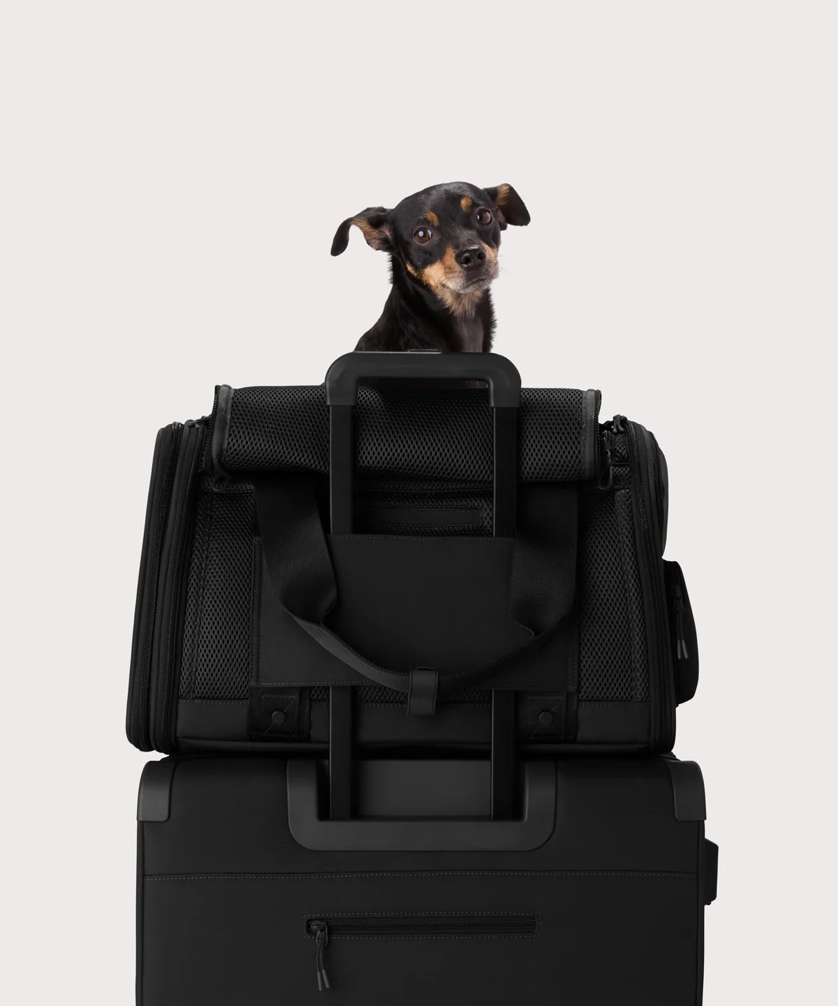 DAGNE DOVER - Kyoto Pet Carrier | Dagne Dover